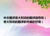 中文翻译意大利语的翻译器有吗（意大利语的翻译软件哪款好用）