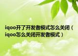 iqoo开了开发者模式怎么关闭（iqoo怎么关闭开发者模式）