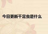 今日更新千足虫是什么