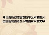 今日更新微信朋友圈怎么不发图片 微信朋友圈怎么不发图片只发文字