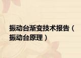 振动台渐变技术报告（振动台原理）