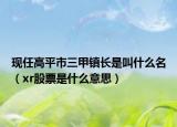 现任高平市三甲镇长是叫什么名（xr股票是什么意思）