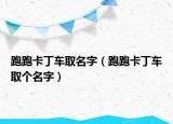 跑跑卡丁车取名字（跑跑卡丁车取个名字）