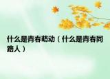 什么是青春萌动（什么是青春同路人）