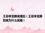 王菲李亚鹏离婚后（王菲李亚鹏到底为什么离婚）