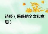 诗经（采薇的全文和意思）