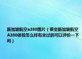 新加坡航空a380图片（乘坐新加坡航空A380体验怎么样有坐过的可以评价一下吗）