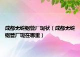 成都无缝钢管厂现状（成都无缝钢管厂现在哪里）
