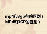 mp4和3gp有啥区别（MP4和3GP的区别）