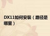 DX11如何安装（路径是哪里）