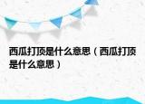西瓜打顶是什么意思（西瓜打顶是什么意思）