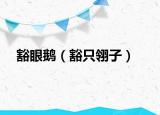 豁眼鹅（豁只翎子）