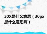 30X是什么意思（30px是什么意思啊）