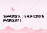 毛评点的含义（毛评点与累积毛评点的区别?）