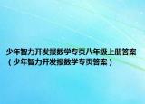 少年智力开发报数学专页八年级上册答案（少年智力开发报数学专页答案）