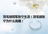羽毛球冠军张宁生活（羽毛球张宁为什么离婚）