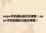 oppo手机隐私模式在哪里（oppo手机的隐私功能在哪里）