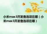 小米max3开发者选项在哪（小米max3开发者选项在哪）