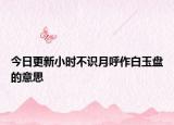 今日更新小时不识月呼作白玉盘的意思