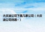 大庆油公司下属几家公司（大庆油公司待遇~）
