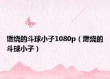 燃烧的斗球小子1080p（燃烧的斗球小子）