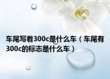车尾写着300c是什么车（车尾有300c的标志是什么车）
