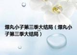 爆丸小子第三季大结局（爆丸小子第三季大结局）