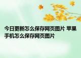 今日更新怎么保存网页图片 苹果手机怎么保存网页图片