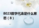 8023数字代表是什么意思（8）