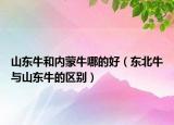 山东牛和内蒙牛哪的好（东北牛与山东牛的区别）