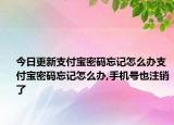 今日更新支付宝密码忘记怎么办支付宝密码忘记怎么办,手机号也注销了