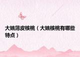 大姚薄皮核桃（大姚核桃有哪些特点）
