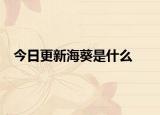 今日更新海葵是什么