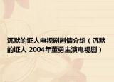 沉默的证人电视剧剧情介绍（沉默的证人 2004年董勇主演电视剧）