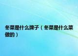冬菜是什么牌子（冬菜是什么菜做的）