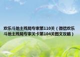 欢乐斗地主残局专家第110关（微信欢乐斗地主残局专家关卡第104关图文攻略）