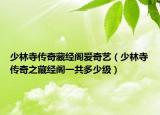 少林寺传奇藏经阁爱奇艺（少林寺传奇之藏经阁一共多少级）