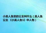 小美人鱼里的公主叫什么（美人鱼公主 《小美人鱼1》中人物）