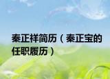 秦正祥简历（秦正宝的任职履历）