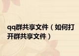 qq群共享文件（如何打开群共享文件）
