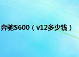 奔驰S600（v12多少钱）