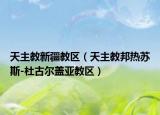 天主教新疆教区（天主教邦热苏斯-杜古尔盖亚教区）