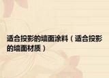 适合投影的墙面涂料（适合投影的墙面材质）