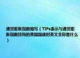 通货膨胀指数缩写（TIPs表示与通货膨胀指数挂钩的美国国债时英文全称是什么）