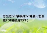 怎么把pdf转换成txt免费（怎么把PDF转换成TXT）