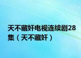 天不藏奸电视连续剧28集（天不藏奸）