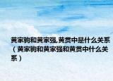 黄家驹和黄家强,黄贯中是什么关系（黄家驹和黄家强和黄贯中什么关系）