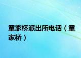 童家桥派出所电话（童家桥）