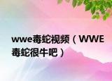 wwe毒蛇视频（WWE毒蛇很牛吧）