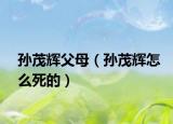 孙茂辉父母（孙茂辉怎么死的）